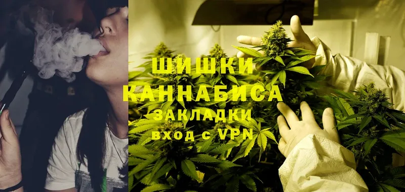 Шишки марихуана SATIVA & INDICA  кракен зеркало  Бородино 